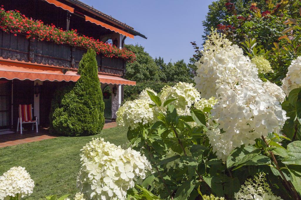 Hotel Alpina Hagnau Εξωτερικό φωτογραφία